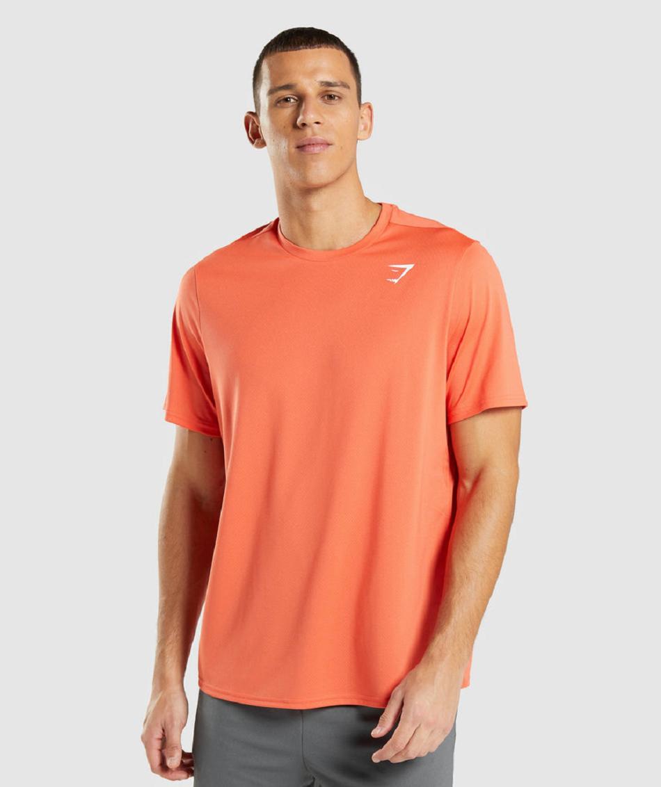 T Shirts Męskie Gymshark Arrival Regular Fit Pomarańczowe | PL 3858BEX